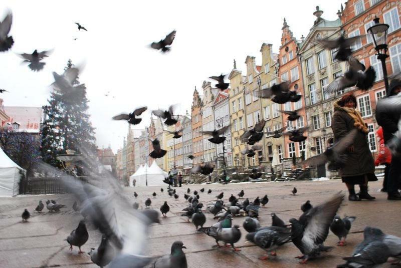 Apartament Sloneczne Poludnie Gdansk Dış mekan fotoğraf